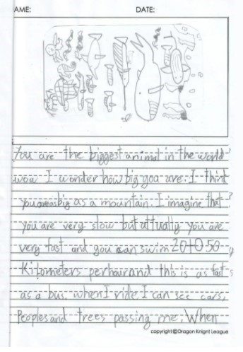 A Letter to Blue Whale 2