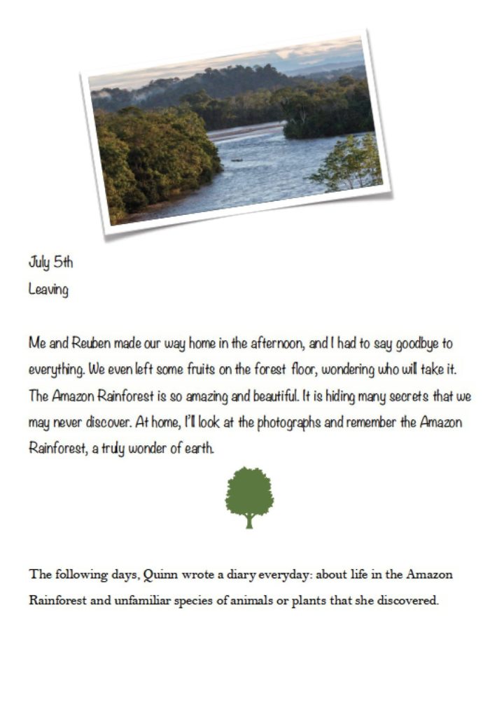 Amazing Amazon 5