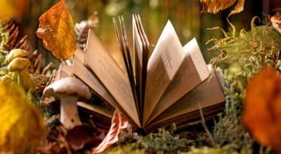 fairy tale ambiance magical book 400x220